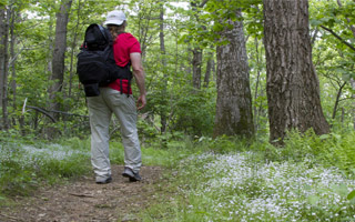 10 Things to Do in Shenandoah National Park - Visit Skyline Drive