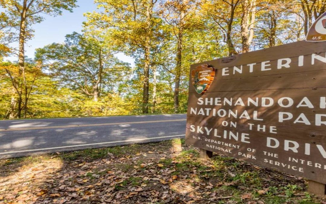 How To Get The Most Out Of Your Fall Visit To Shenandoah