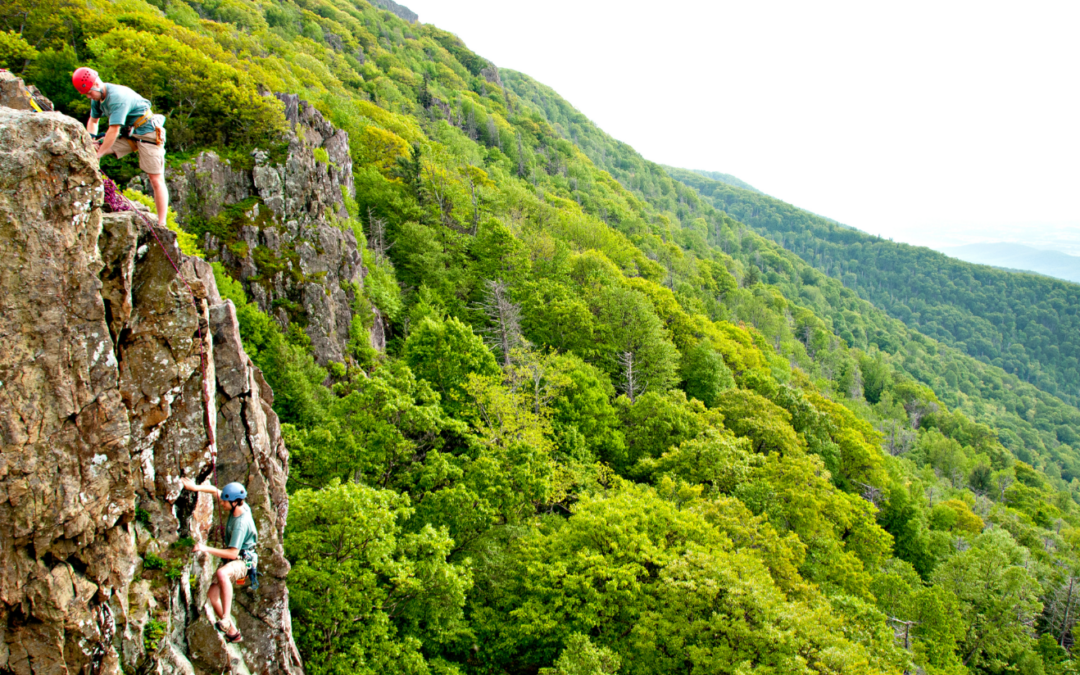 Do Nothing, or Do it All! Summer Activities and Events in Shenandoah